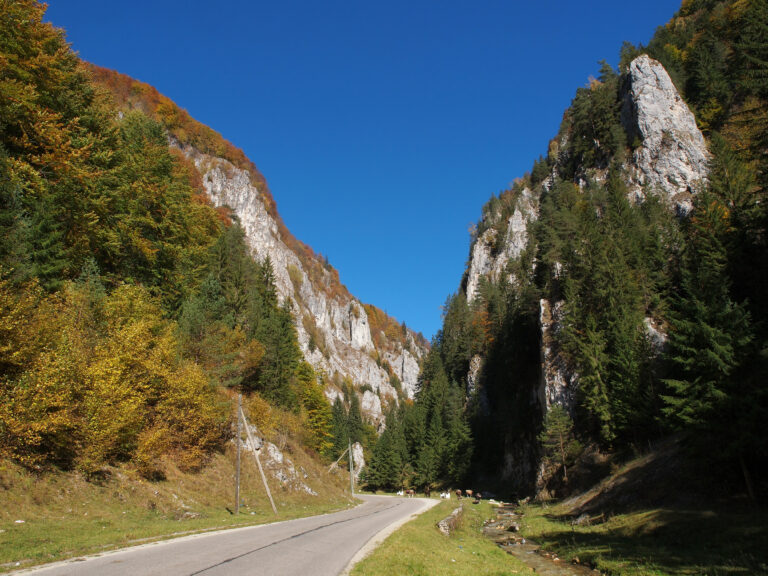 Drumeție în Cheile Dâmbovicioarei: ghid complet - Transylvanian Inn